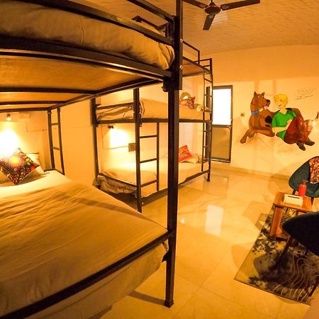 فندق Funky Backpackers أُودايبور المظهر الخارجي الصورة